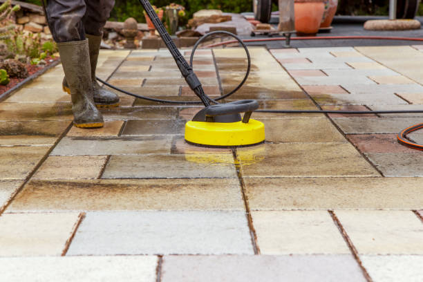 Best Pre-Holiday Cleaning  in Cutlerville, MI